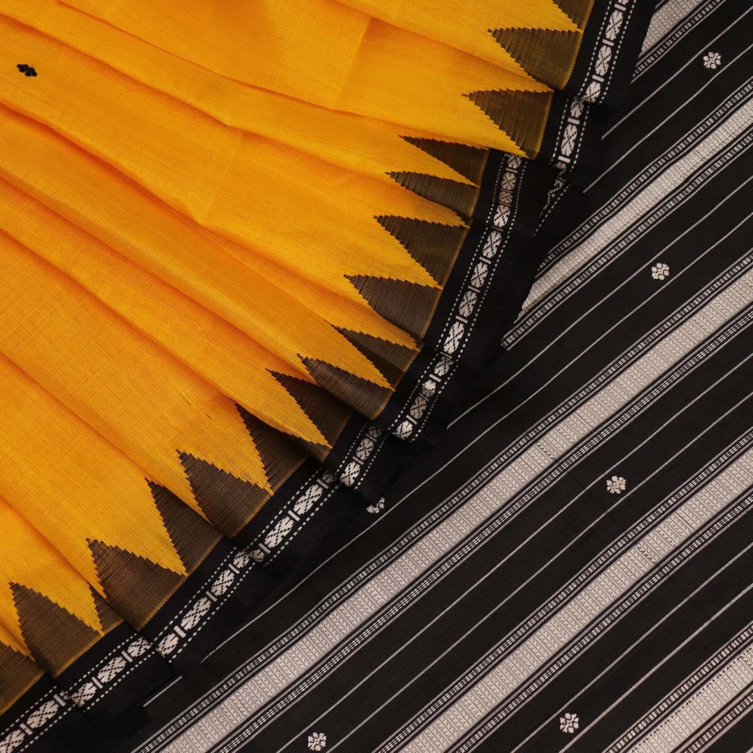 Handloom Berhampur Silk Saree Handloom Saree_Berhampur Silk Priyadarshini Handloom