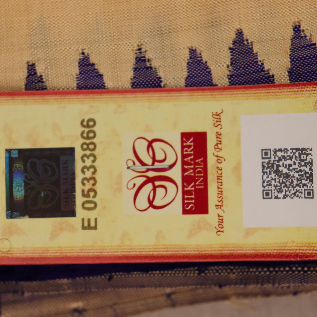 Handloom Berhampur Silk Saree Handloom Saree_Berhampur Silk Priyadarshini Handloom