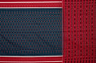 Full layout of the Green and Red Sambalpuri cotton saree showing body, border and pallu.