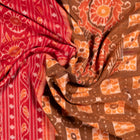 Draped view of the Brown Sambalpuri cotton saree showing its handwoven texture and motifs.