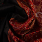 Black Khandua silk saree styled; showcases the drape and overall appearance, highlighting the red butta pattern.
