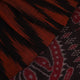 Brown and black plain Sambalpuri cotton saree elegantly draped.