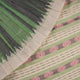 Full-length layout of the green and white striped Sambalpuri cotton saree showing the complete design.