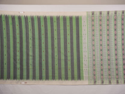 Full-length layout of the green and white striped Sambalpuri cotton saree showing the complete design.