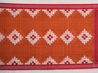 Elegant drape of a brown and red Pasapalli Sambalpuri cotton saree on a model for styling