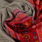 Full length view of a handloom grey and red striped Dolabedi cotton saree.