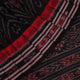 Red and black Sambalpuri cotton saree draped, showcasing overall styling and motifs.