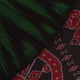 Green and black plain Sambalpuri cotton saree gracefully draped on a model, highlighting its elegant styling.