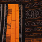 Draped view of a yellow and black Sambalpuri cotton saree with motifs, showcasing its styling and fall.