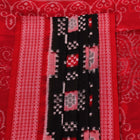 Handloom Sambalpuri Cotton Ikkat Saree Handloom Saree_Sambalpuri Cotton Priyadarshini Handloom