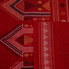 Handloom Dolabedi Cotton Ikat Saree Handloom Saree_Cotton Priyadarshini Handloom 