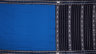 Handloom Habaspuri Cotton Ikkat Saree Handloom Saree_Cotton Priyadarshini Handloom 
