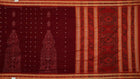 Handloom Sambalpuri Cotton Ikkat Saree Handloom Saree_Cotton Priyadarshini Handloom 