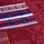 Handloom Sambalpuri Cotton Ikkat Saree Handloom Saree_Cotton Priyadarshini Handloom 
