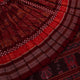 Handloom Sambalpuri Cotton Ikkat Saree Handloom Saree_Cotton Priyadarshini Handloom 