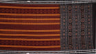 Handloom Sambalpuri Cotton Ikkat Saree Handloom Saree_Cotton Priyadarshini Handloom 