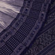 Handloom Sambalpuri Cotton Ikkat Saree Handloom Saree_Sambalpuri Cotton Priyadarshini Handloom 
