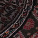 Handloom Sambalpuri Cotton Ikkat Saree Handloom Saree_Sambalpuri Cotton Priyadarshini Handloom 