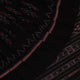 Handloom Sambalpuri Cotton Ikkat Saree Handloom Saree_Sambalpuri Cotton Priyadarshini Handloom 