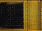 Handloom Sambalpuri Cotton Ikkat Saree Handloom Saree_Sambalpuri Cotton Priyadarshini Handloom 