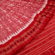 Handloom Sambalpuri Ikkat Silk Saree Handloom Saree_Sambalpuri Silk Priyadarshini Handloom 