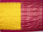 Handloom Sambalpuri Ikkat Silk Saree Handloom Saree_Sambalpuri Silk Priyadarshini Handloom 