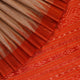 Handloom Sambalpuri Tusser Saree Handloom Saree_Tussser Silk Priyadarshini Handloom 