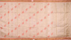 Handloom Sambalpuri Tusser Saree Handloom Saree_Tussser Silk Priyadarshini Handloom 