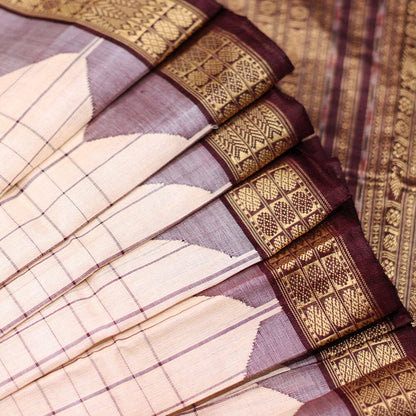 Handloom Sambalpuri Tusser Saree Handloom Saree_Tussser Silk Priyadarshini Handloom 
